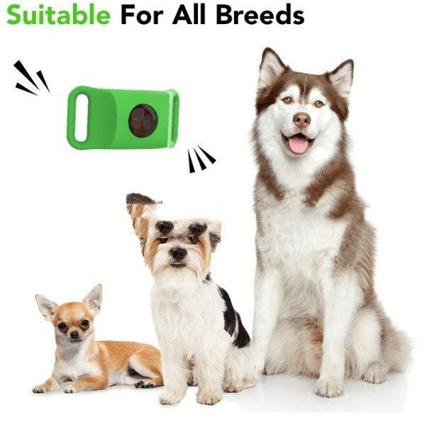 Flea Tick Tick Tick Collar