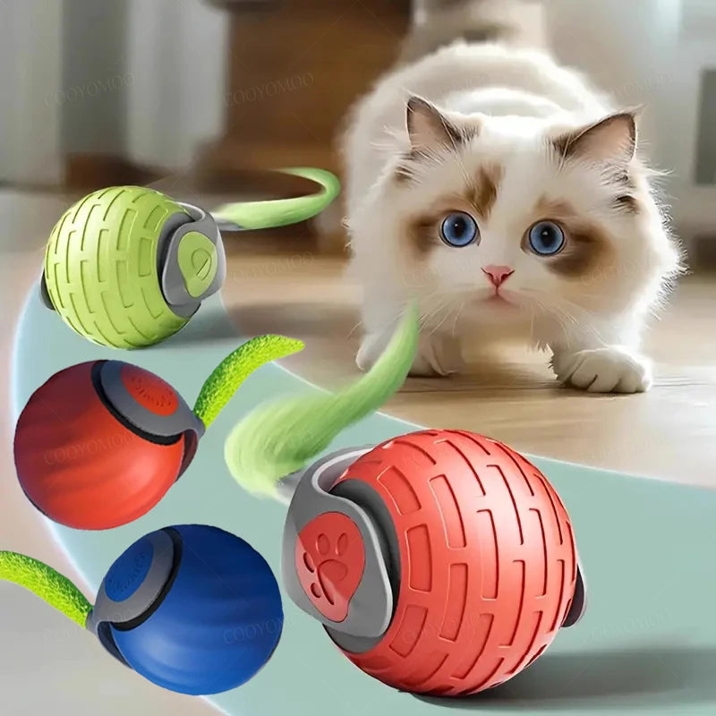 Cat playing with colorful exercise balls on a light surface. Smart interactive cat toy ball with USB charging, chirping sound, and rotating tail for indoor kitten play