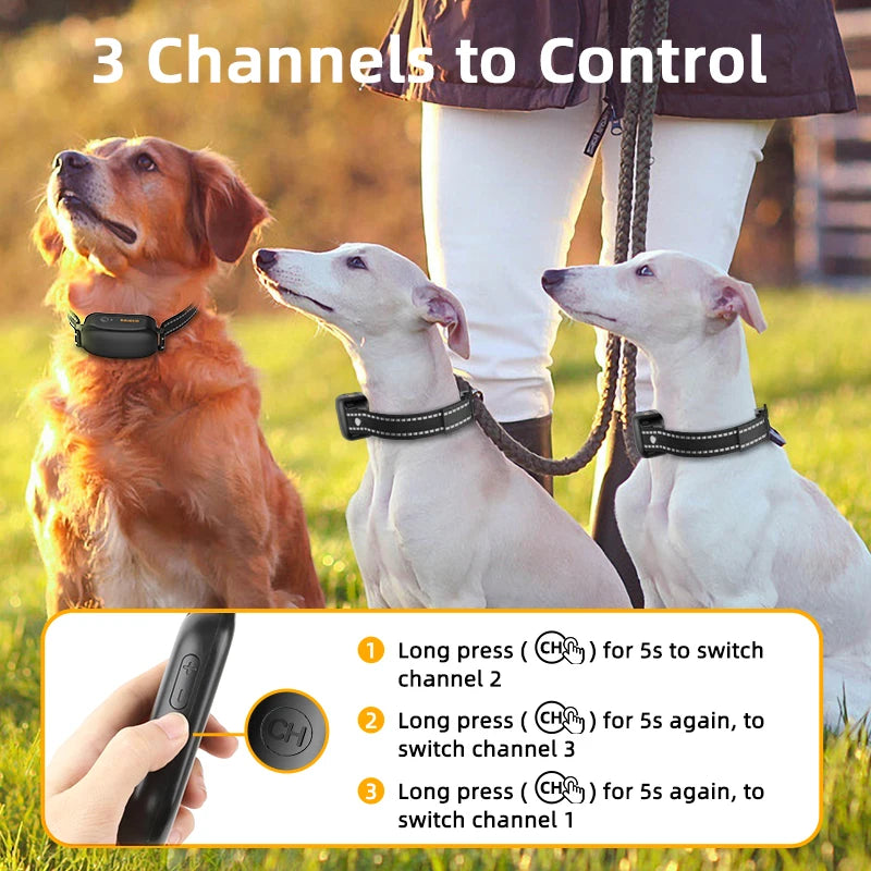 Electric Dog Training Collar – IPX7 Waterproof, 1000M Remote, Rechargeable Anti-Bark Shock & Vibration Collar for All Dogs