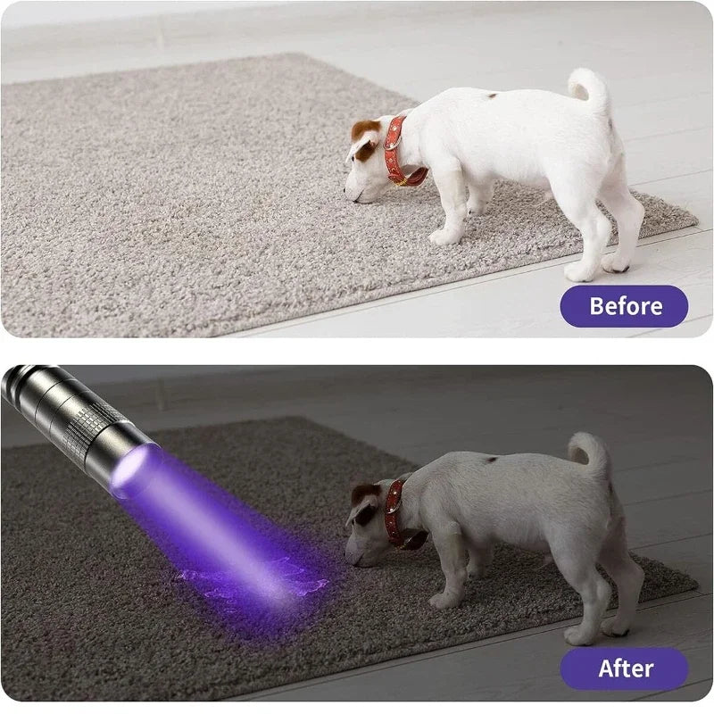 Portable UV Flashlight 395nm - Compact Ultraviolet Torch with Pen Clip for Pet Stain and Scorpion Detection. Pet