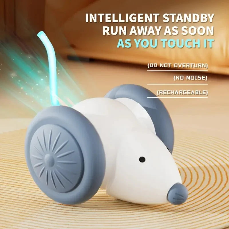 Smart Cat Toy Ball – USB Rechargeable Electric Rolling Ball with Auto Motion & Sound for Indoor Kittens