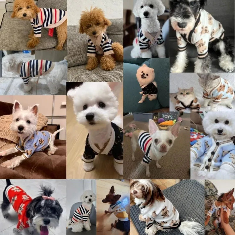 Luxury Knitted Winter Dog Sweater for Small Dogs – Warm Cardigan for Chihuahua & French Bulldog