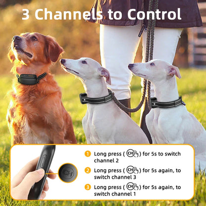 Electric Dog Training Collar – IPX7 Waterproof, 1000M Remote, Rechargeable Anti-Bark Shock & Vibration Collar for All Dogs